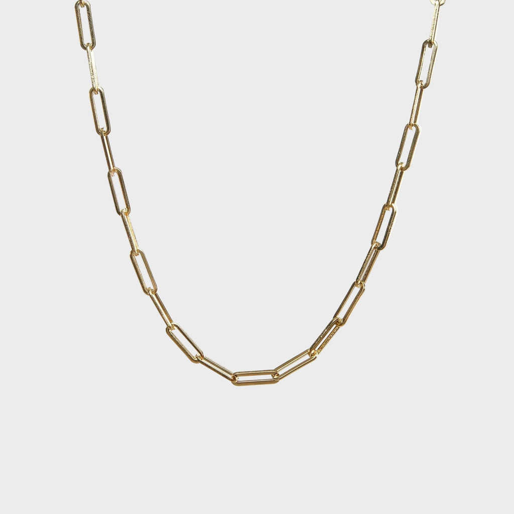 Gold Clip Chain Necklace