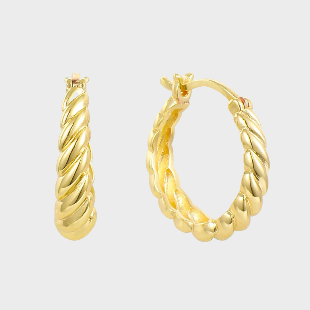 Twisted Earrings
